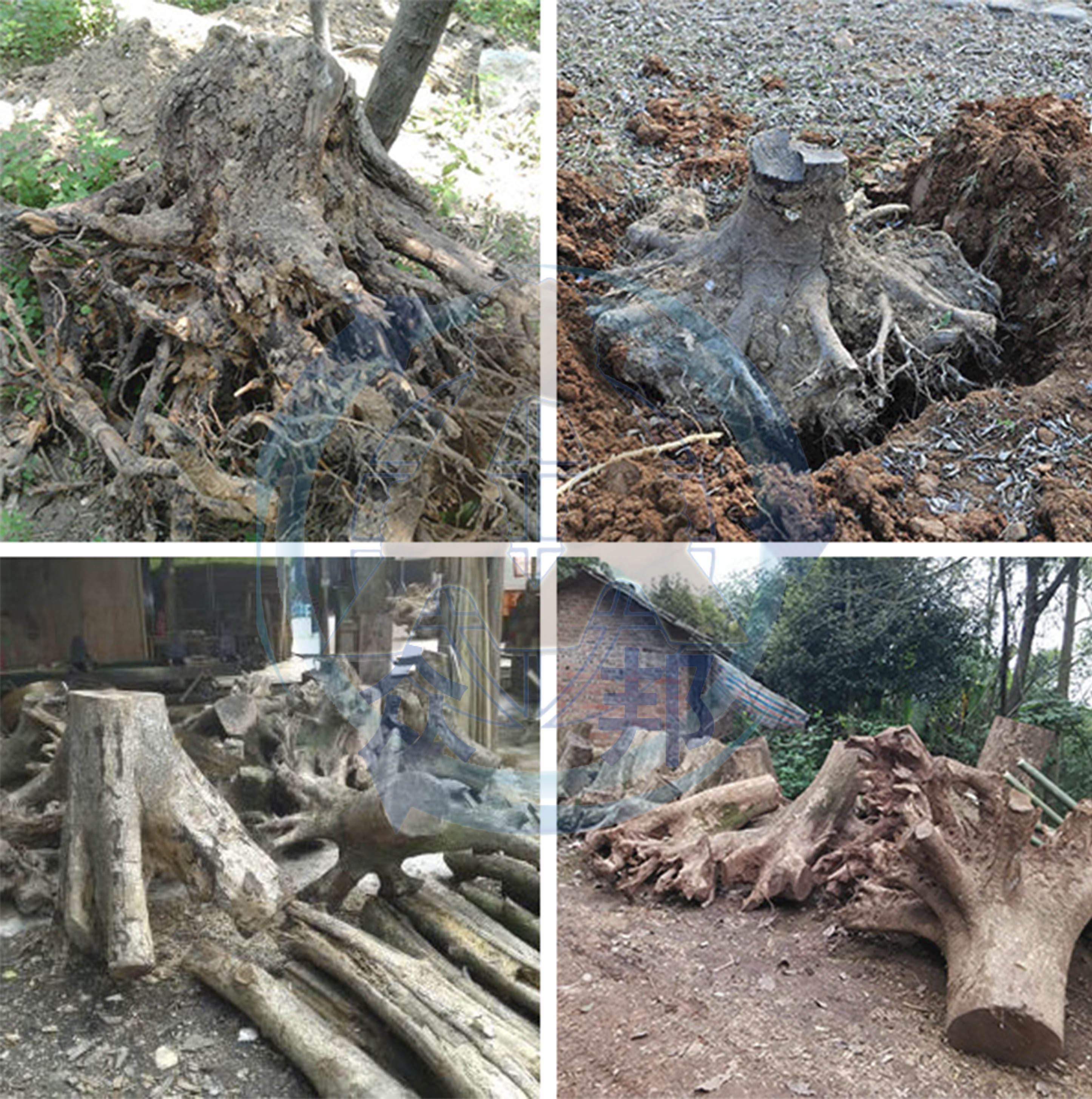 樹根破碎機(jī)破碎原料 樹根破碎機(jī)破碎原料